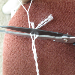 Popper step 29